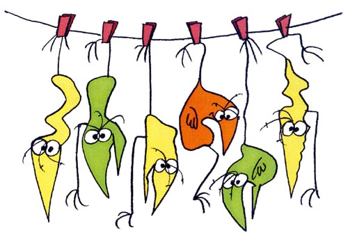 Les Shadoks et le big blank